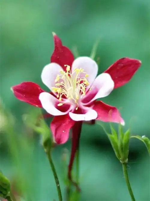 750_1000竖版 竖屏