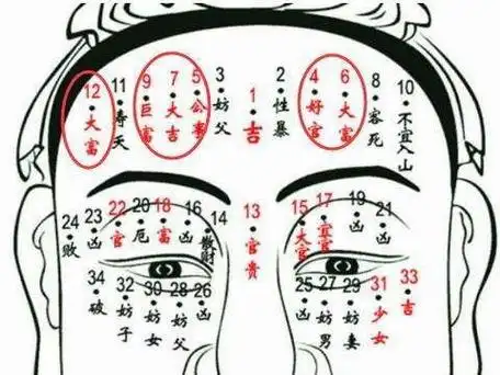 眉毛附近的痣图解眉毛痣的位置与命运