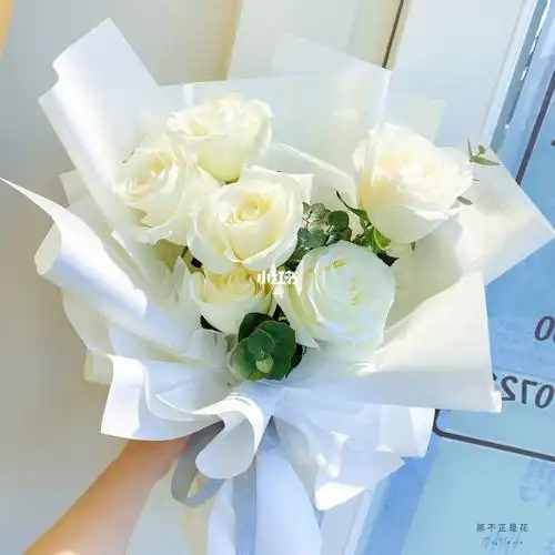 骄傲白玫瑰小花束纯白色系韩式花束