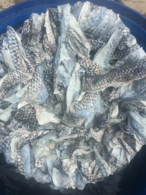 厂家直销冻罗非鱼皮无鳞无肉适合做脆鱼皮泡椒鱼皮凉拌鱼皮