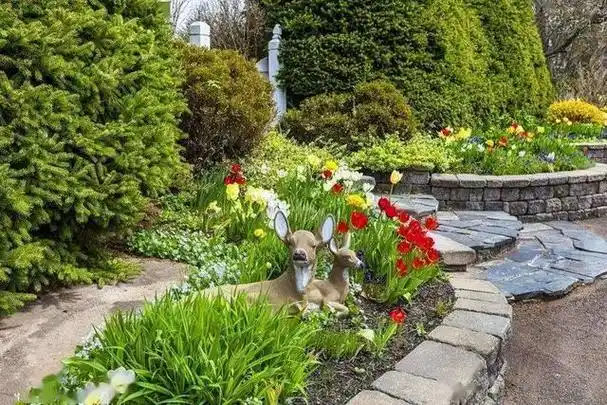 别墅庭院花池种植花卉(一块平行四边形花池,共种植花卉1200株)-措必培