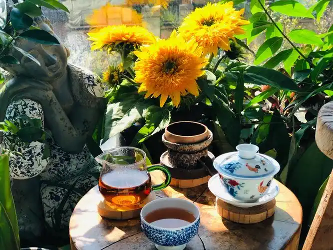 午后的惬意时光