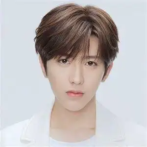 蔡徐坤假发同款男中分刘海短发韩版帅气逼真自然蓬松男士学生短发