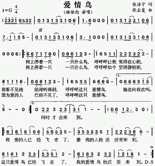 爱情鸟简谱