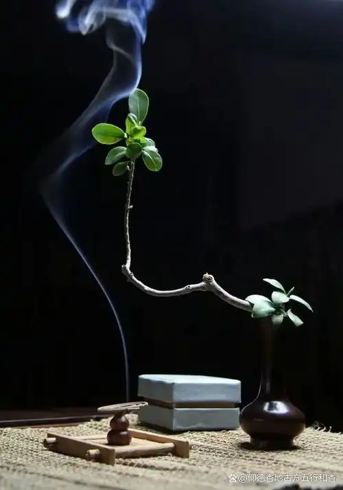 一缕袅袅青烟,丝丝美妙香味,层层觉悟禅意.香既是物质的,又是精神的.