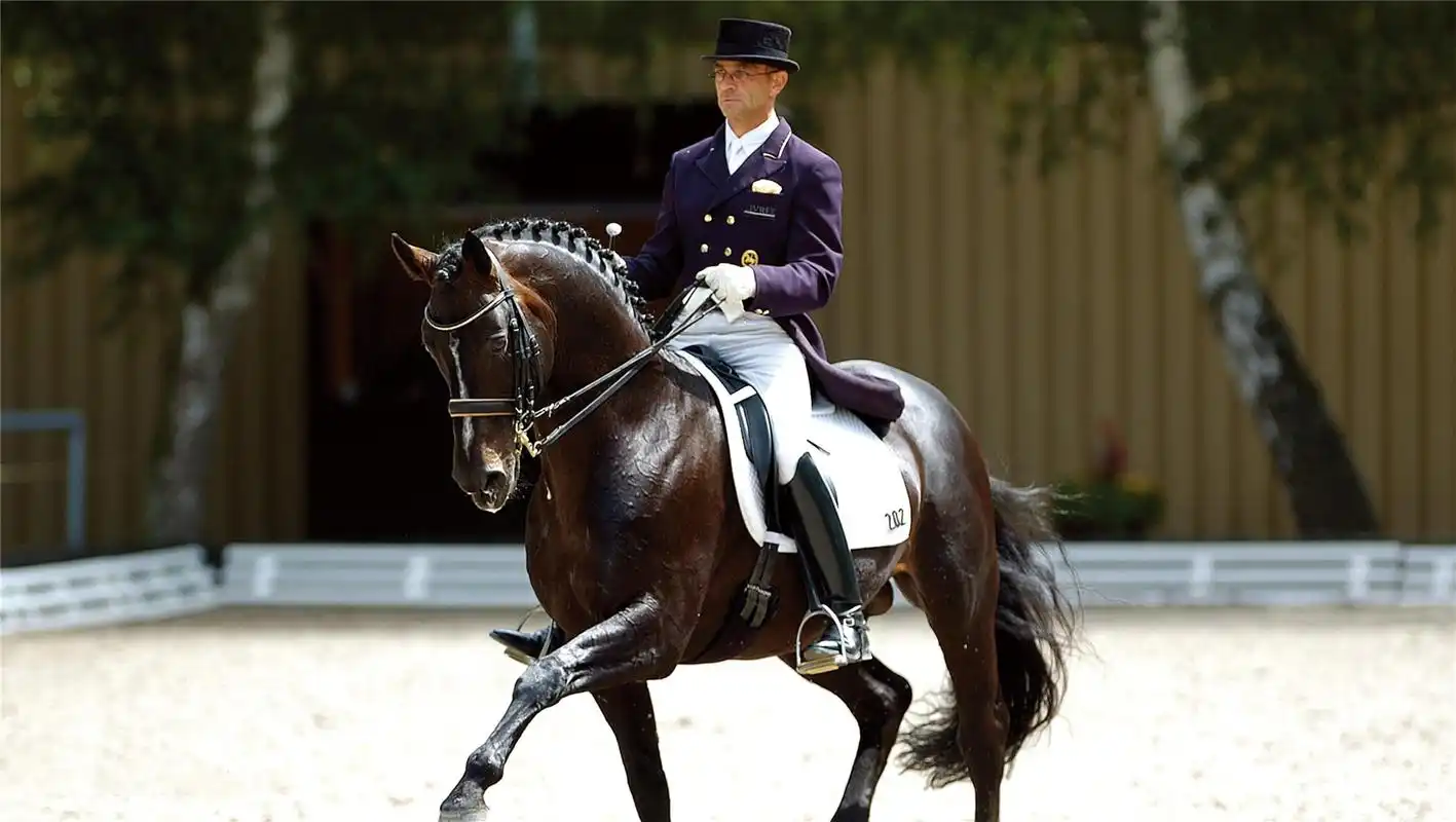 不灭的骑士精神——法国索米尔黑骑士马术