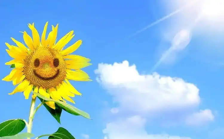 微笑是一种伟大的力量,这种力量带给我们丝丝温暖,赋予我们自信坚强