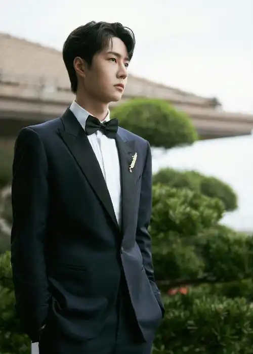 王一博##王一博星光大赏