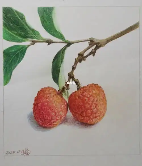 彩铅日常荔枝