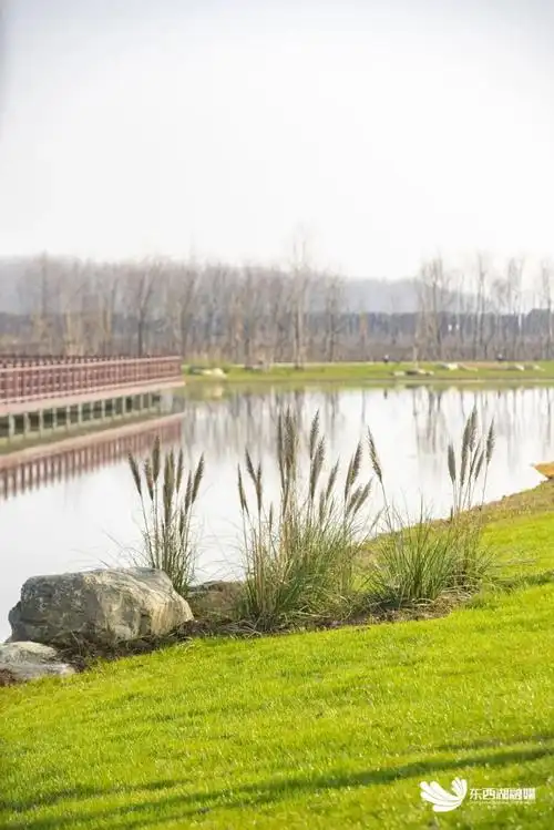 东西湖空港湿地花园"五一"开放!武汉新晋打卡地 1_腾讯新闻