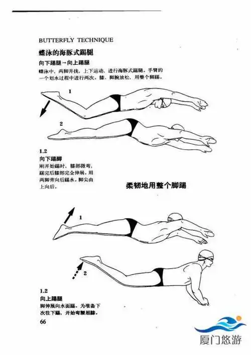 游泳技巧图解一蝶泳技术提高篇