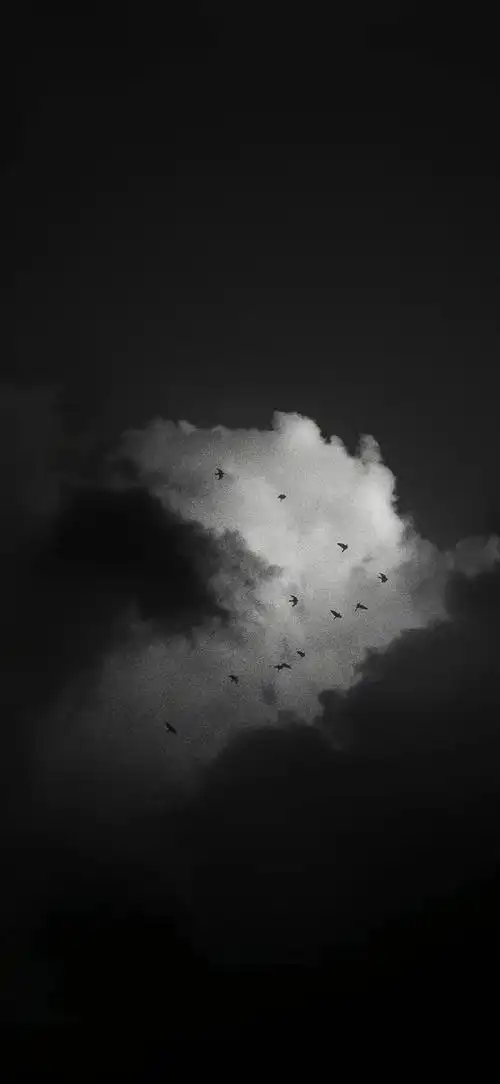 660_1431竖版 竖屏