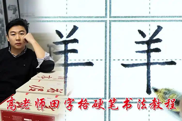 中国书法家协会高老师硬笔书法田字格教程羊字横竖的详细讲解
