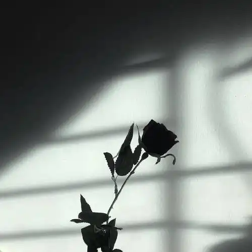 背景图人之所以伤心是因为看得不够远