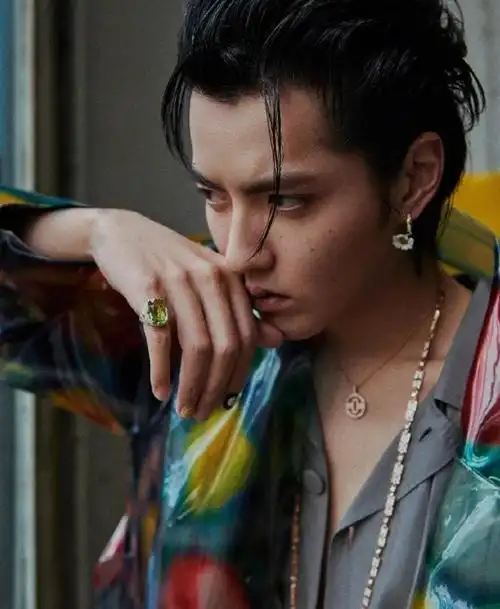 吴亦凡"油头"发型冷冽帅气,顶奢代言人时尚演绎,行走的衣架子__财经