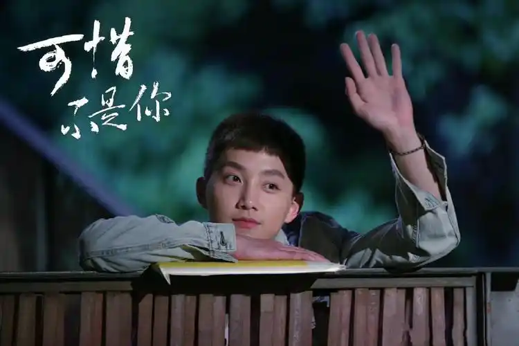 《可惜不是你》:爱是一种付出