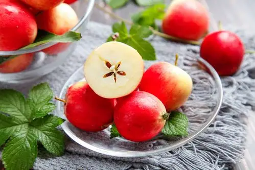 海棠果什么时候成熟