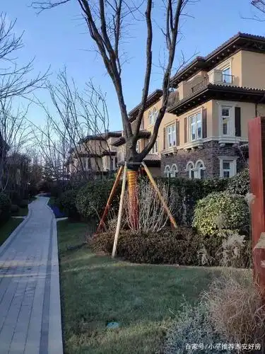 2020春节回乡置业,西安好房来啦,龙湖别墅,特点不贵