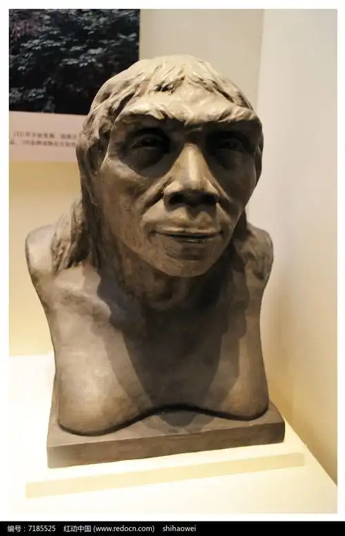 原始人复原头像