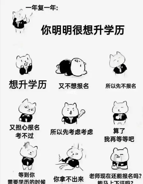 遇到更优秀的人5,深入学术研究6,延缓就业压力7,提升朋友圈伙伴们,你