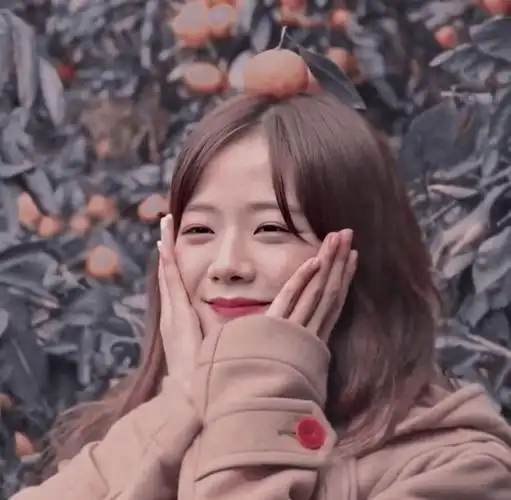 头像你们用温柔形容jisoo而我用jisoo解释温柔