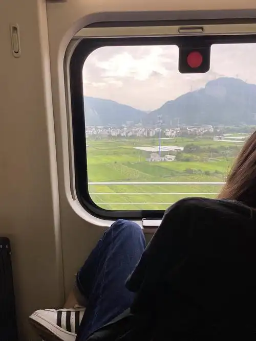 一次回家高铁的窗景