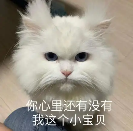 你心里还有没有我这个小宝贝生气呆萌可爱gif动图_动态图_表情包下载