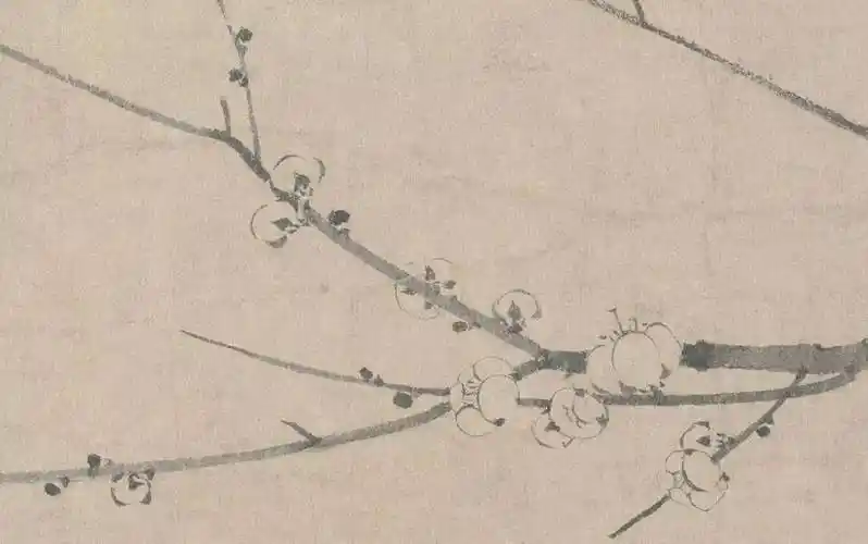 艺赏扬无咎笔下的墨梅图极尽朴素的美