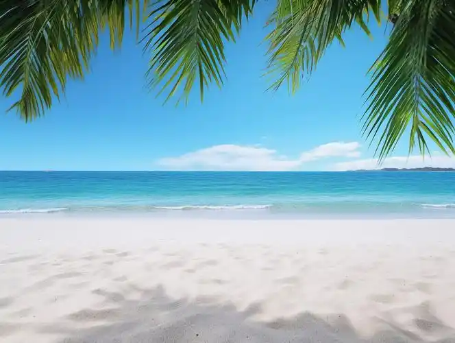 大海电脑壁纸清新海边背景风景旅游度假宣传大海海滩正面沙滩