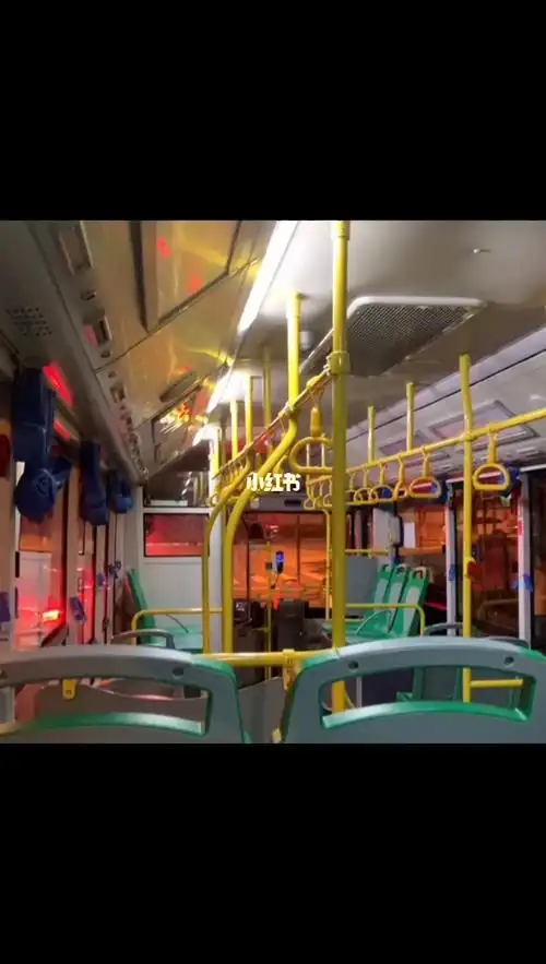 晚上和谢雯出去逛了一晚上觉得公交车上特别有感觉 原来一起坐公交也