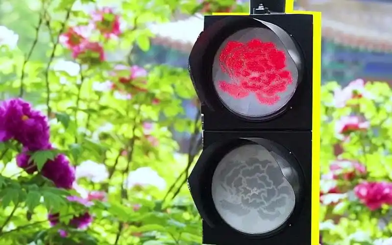 这应该就是专属于洛阳人的浪漫吧!#牡丹造型红绿灯