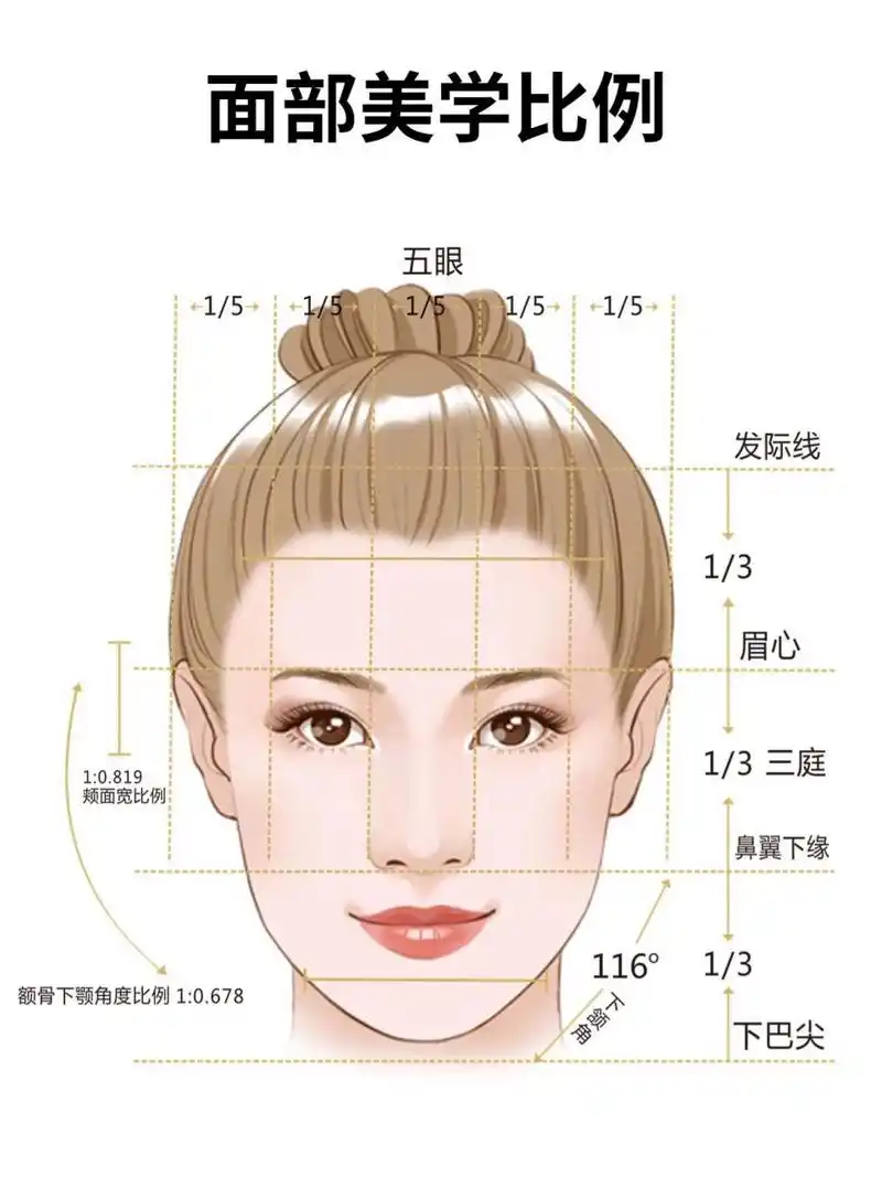什么是"三庭五眼","四高三低"71 02为什么有的人五官,脸型明明都