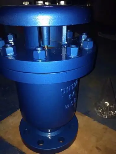 carx复合式排气阀