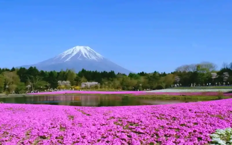 自然的景色 悦耳的音乐 清爽的心情!