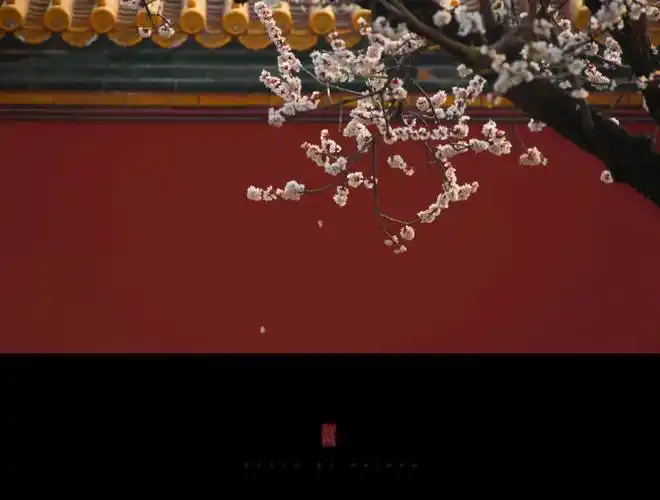 宫廷风的朋友圈背景图#背景图  #宫廷风