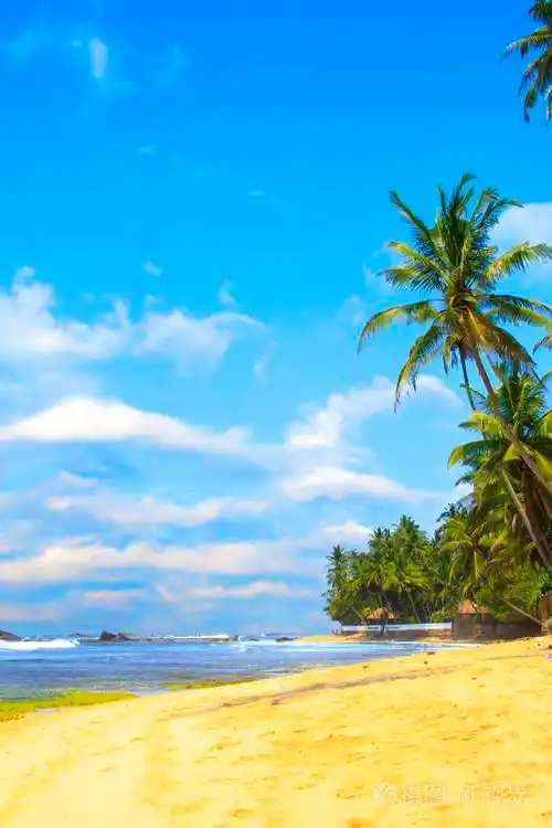 美丽的景色斯里兰卡海滩上阳光灿烂的日子