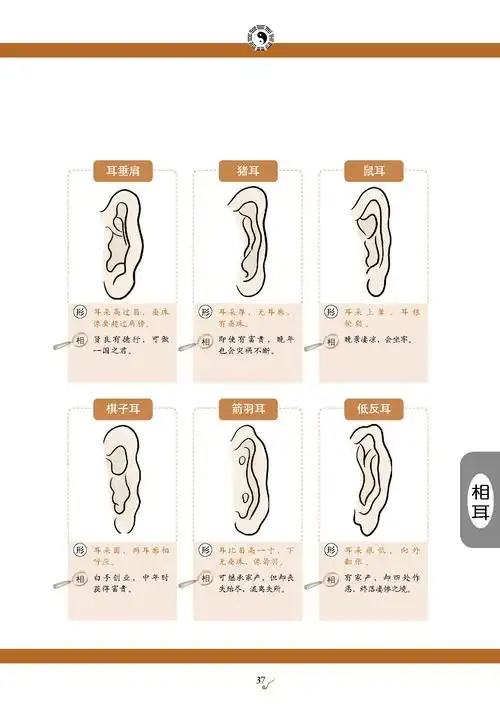 5.面向速查——耳