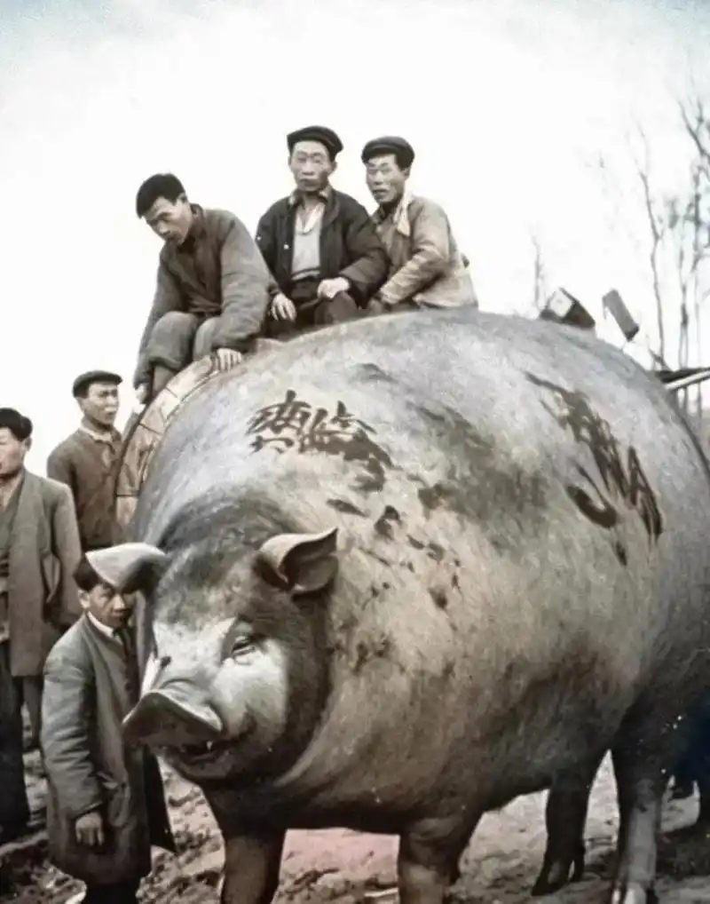 人有多大胆地有多大产