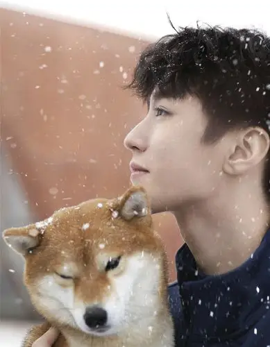 王俊凯冰雪大片怀抱柴犬展现治愈系笑容