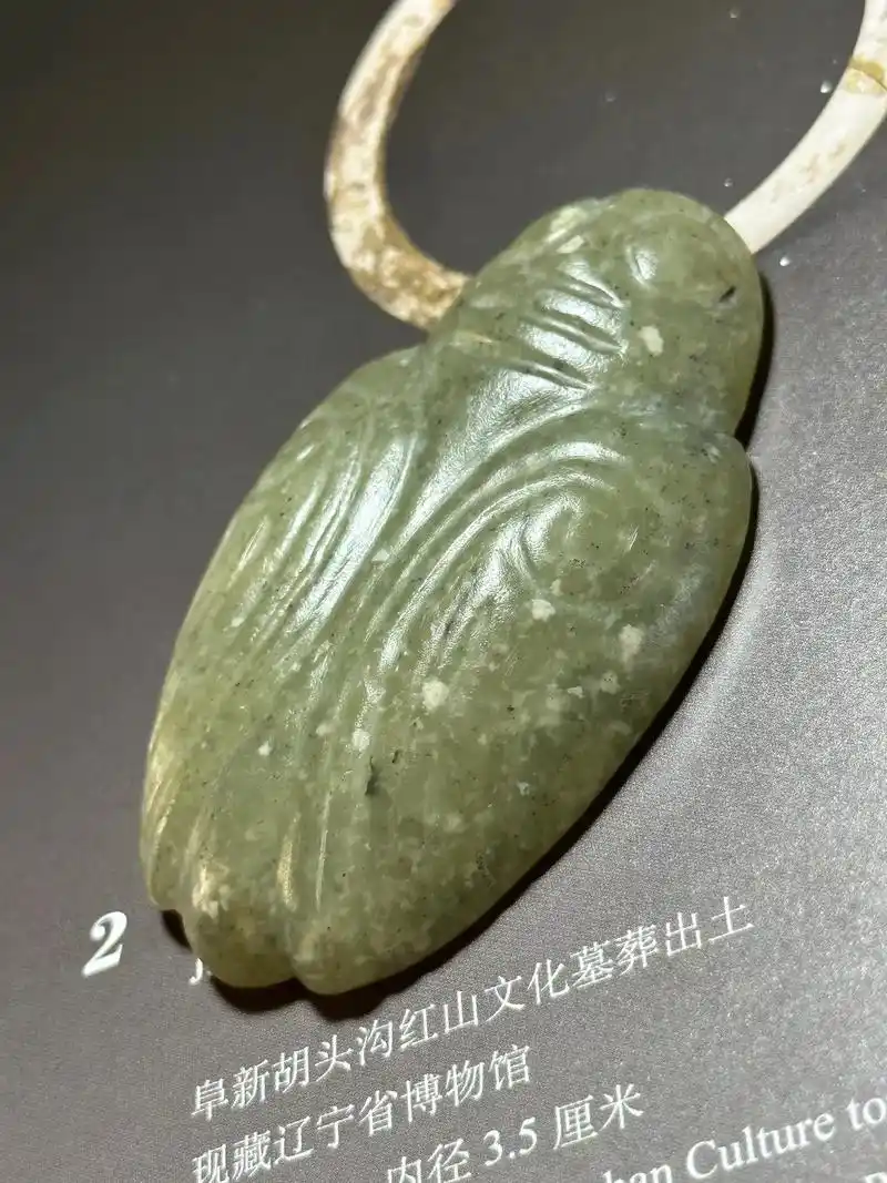 红山文化后期玉蝉 极品生坑玻璃光状态 - 抖音