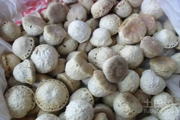 壮阳果图片及其功效