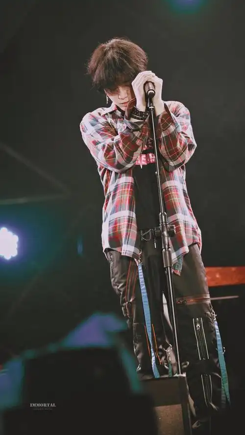 【歌手华晨宇】〔飒飒专楼〕管你什么想法,我是我自己的表达