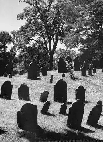 无人,竖图,俯视,黑白,室外,白天,草地,草坪,石头,美景,植物,美国,一排