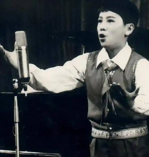 拒绝那英表白后悔了蔡国庆我当年看上的是那英姐姐那辛