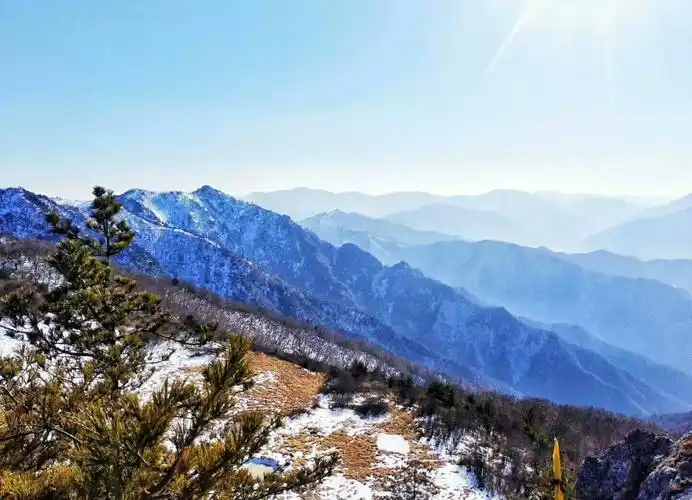 秦岭十峰 | 一日首阳山,深入秦岭腹地