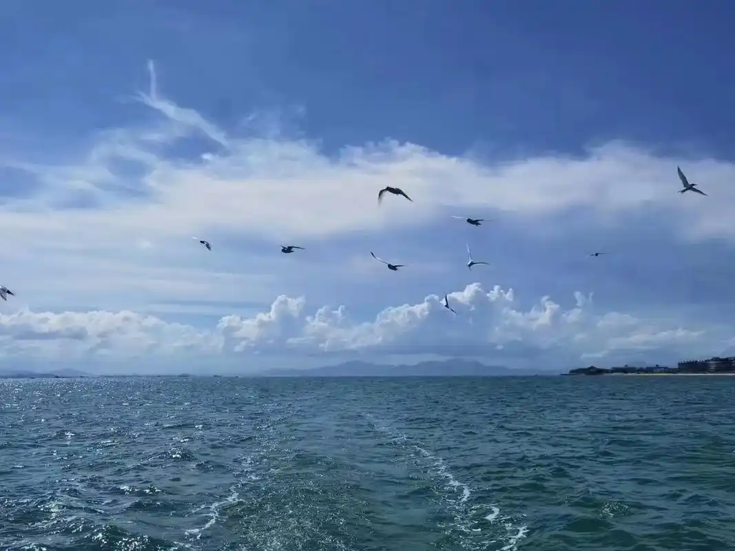 美丽的巽寮湾治愈系风景三面环山面朝大海背靠山