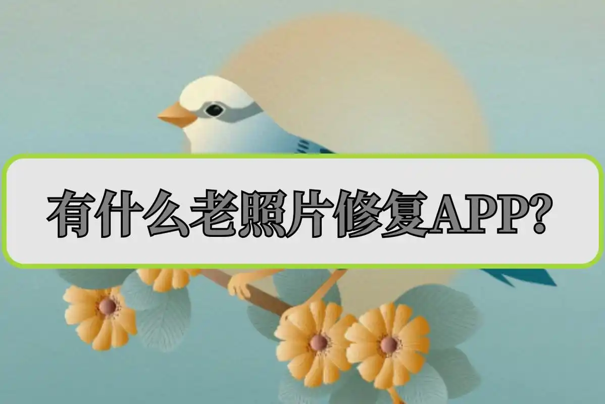 有什么老照片修复app?这里推荐三款