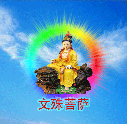 491_482gif 动态图 动图