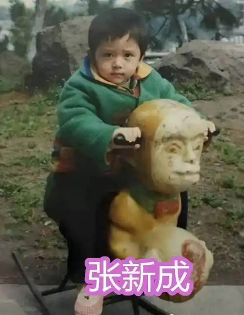 我们可以看到,小时候的张新成样貌和现在的区别并不