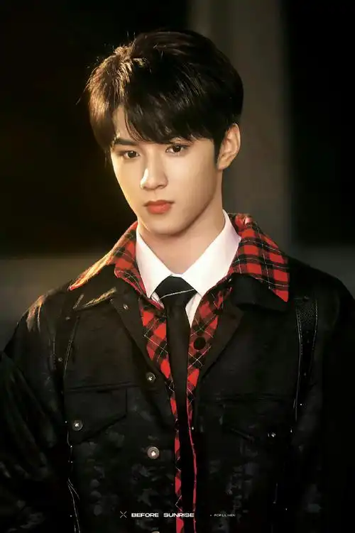 刘耀文胶片风自拍##刘耀文比耶怼脸自拍